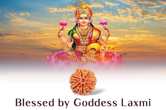 सात मुखी रुद्राक्ष – माँ लक्ष्मी की कृपा पाने का दिव्य उपाय